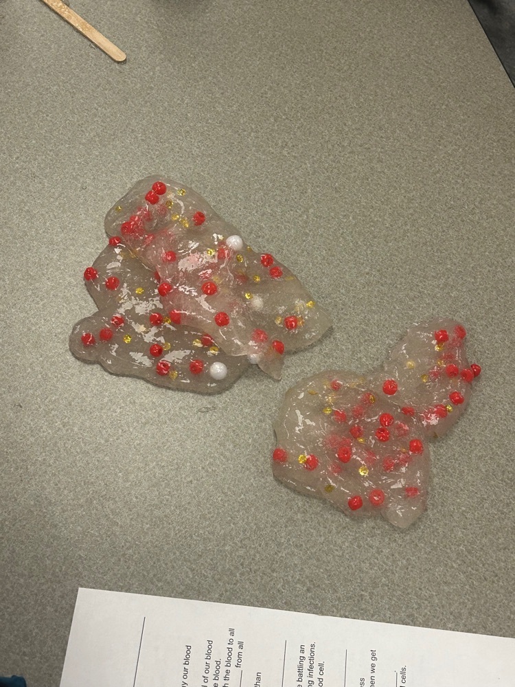 We learned about the components and how the red blood cells turn blood the red color.